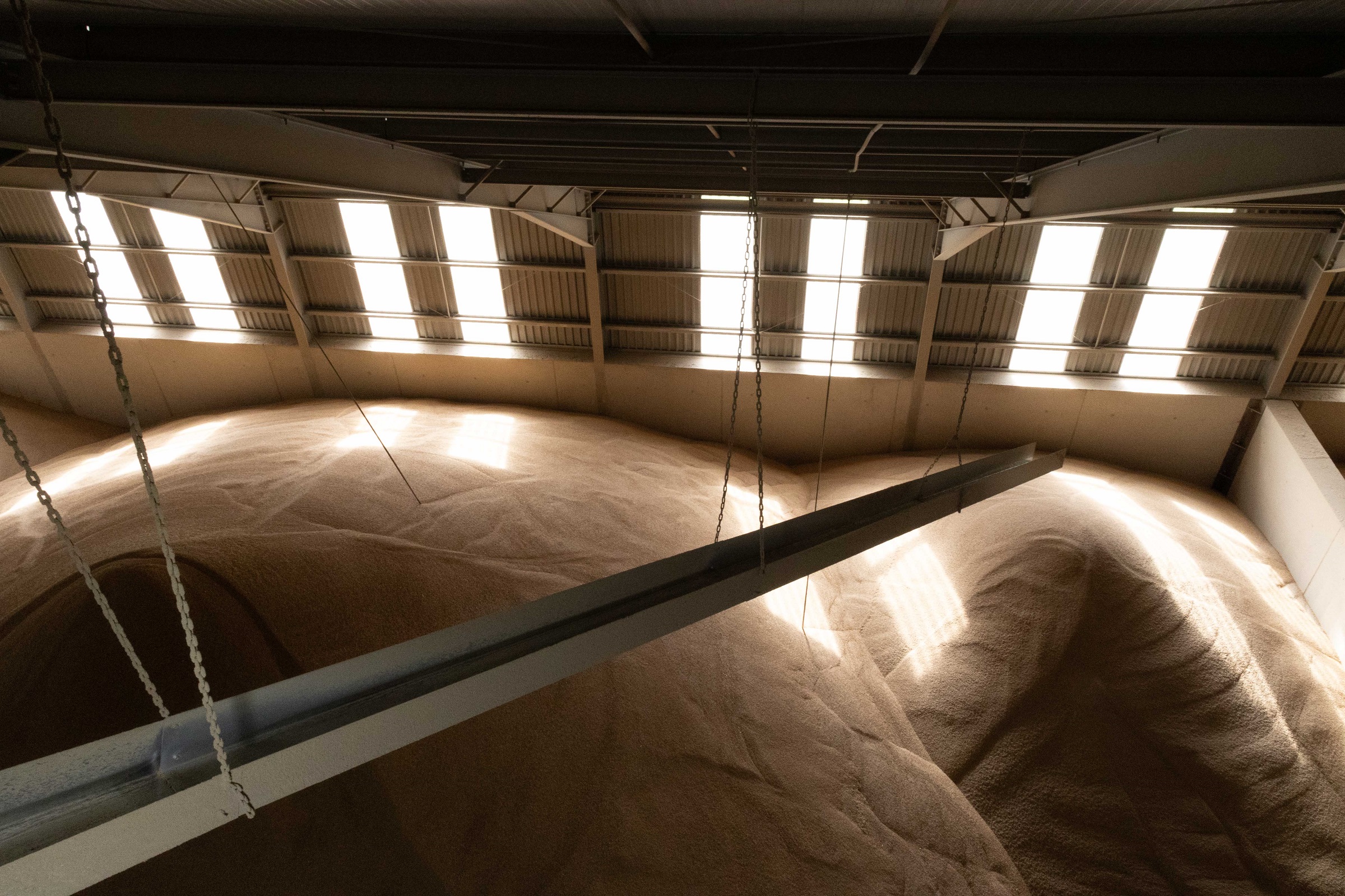 Daltons Chancellors Mills